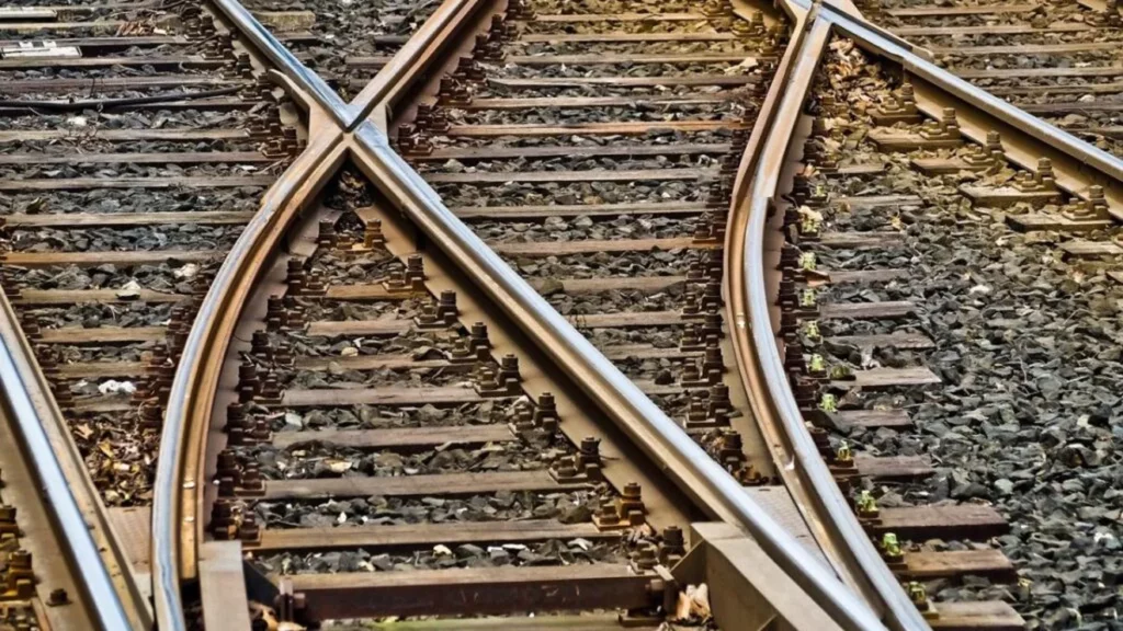 Tren deraiat Ã®n Japonia dupÄ ce a lovit un urs. 34 de pasageri au petrecut noaptea Ã®n garniturÄ